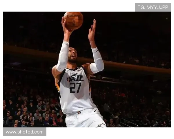 罗伯特·威廉姆斯挡拆防守效率提升显著助力球队内线稳固